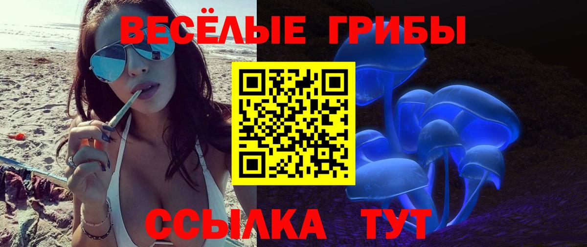 Псилоцибиновые грибы Psilocybe  Псилоцибиновые грибы GOLDEN TEACHER  Вход с VPN  Красноармейск 