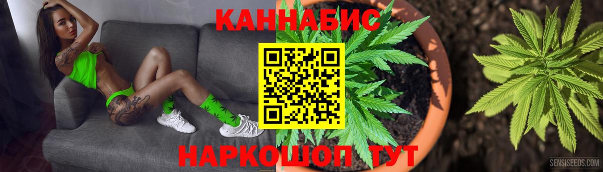 Каннабис сатива Красноармейск